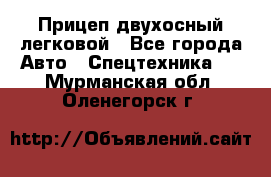 Прицеп двухосный легковой - Все города Авто » Спецтехника   . Мурманская обл.,Оленегорск г.